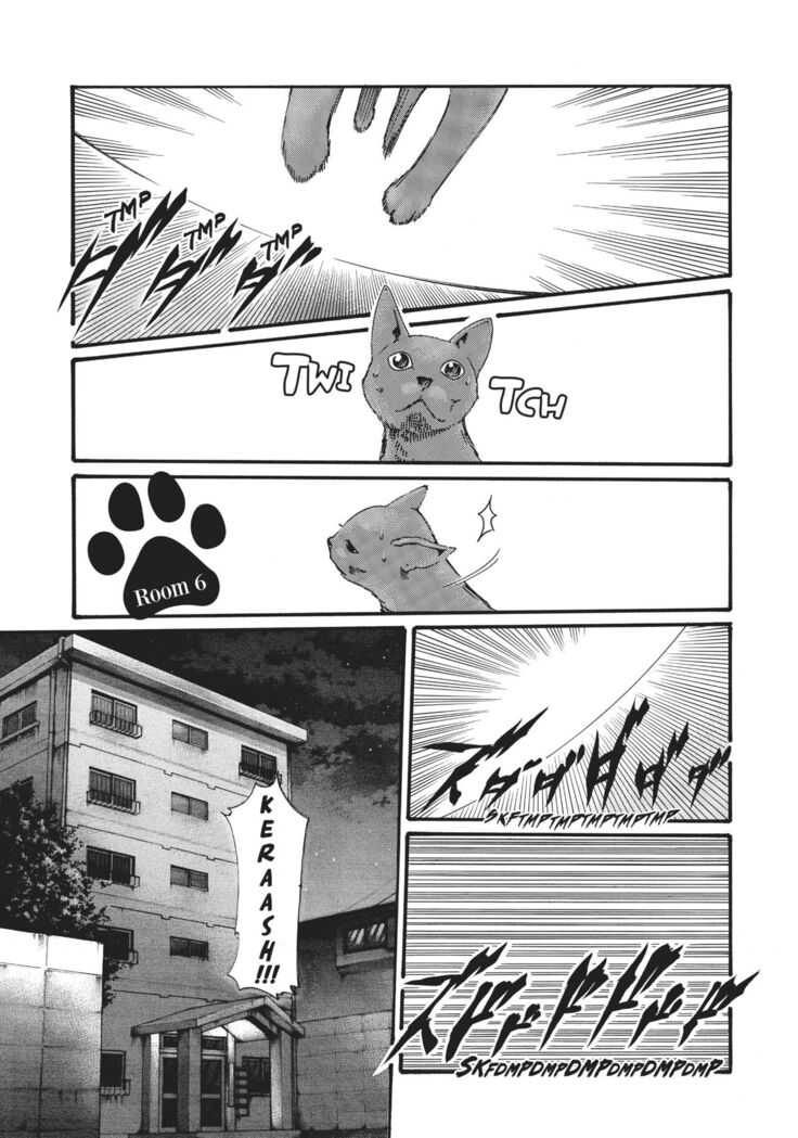 Cat in Hot Girl's dorm volume 1