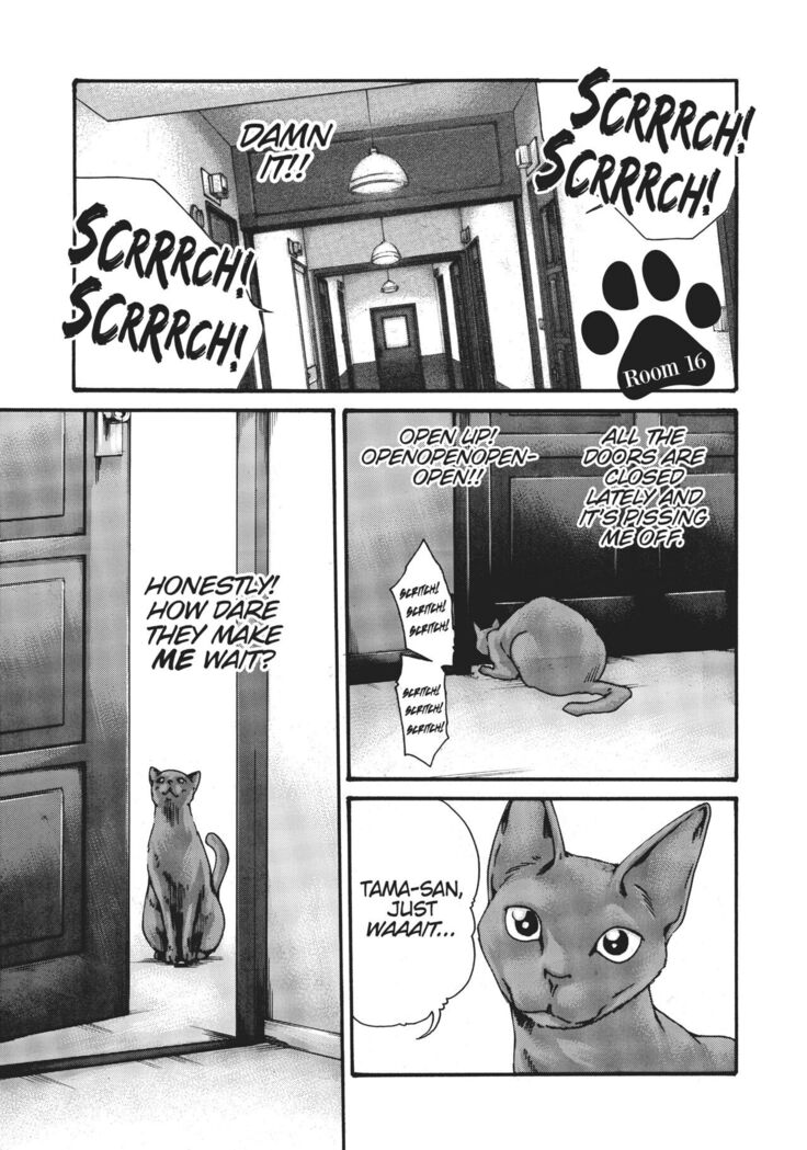 Cat in Hot Girl's dorm volume 1