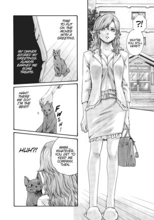 Cat in Hot Girl's dorm volume 1 Page #29