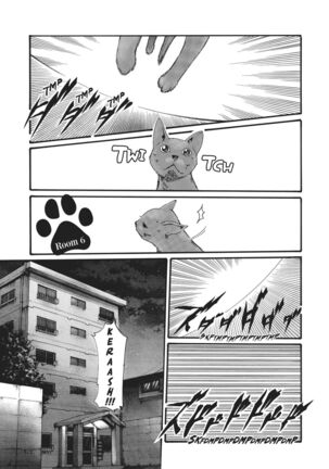 Cat in Hot Girl's dorm volume 1 Page #56