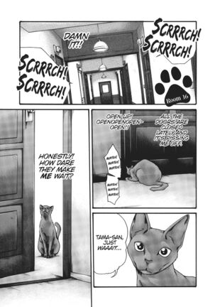 Cat in Hot Girl's dorm volume 1 Page #136