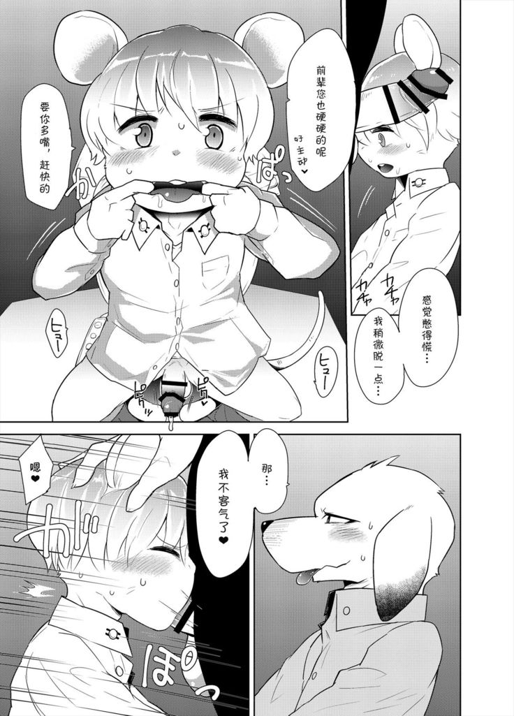 Shanai Koushou