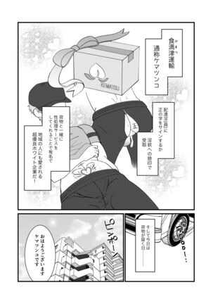 Image 12503964