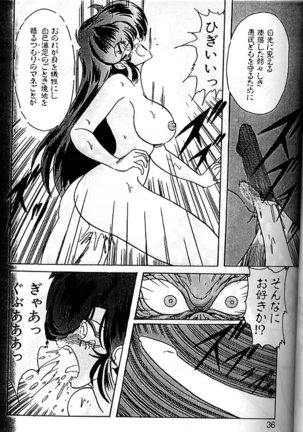 Fairy Saber Eitouhen Page #33