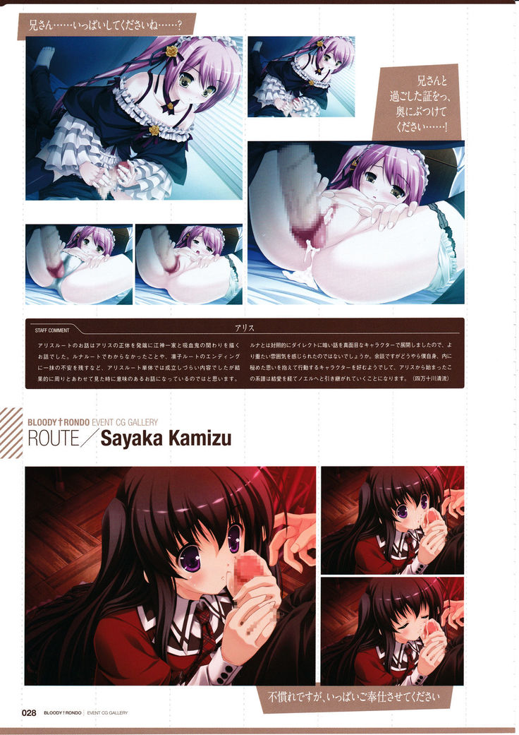 3rdEye Official Visual Fan Book RERUM MEMORIA