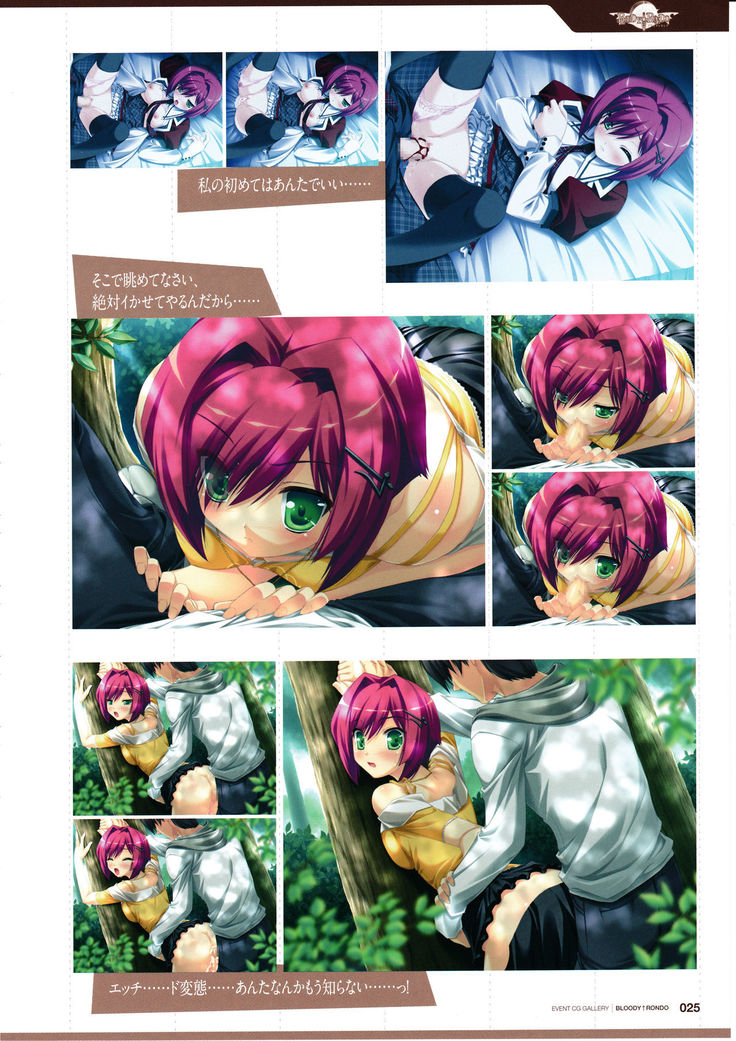 3rdEye Official Visual Fan Book RERUM MEMORIA