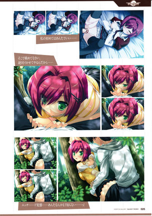 3rdEye Official Visual Fan Book RERUM MEMORIA Page #28