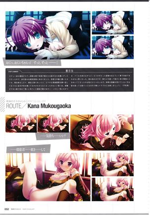 3rdEye Official Visual Fan Book RERUM MEMORIA - Page 55