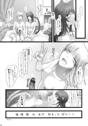 Futanari Koneko to Hatsujou-ki - Page 21