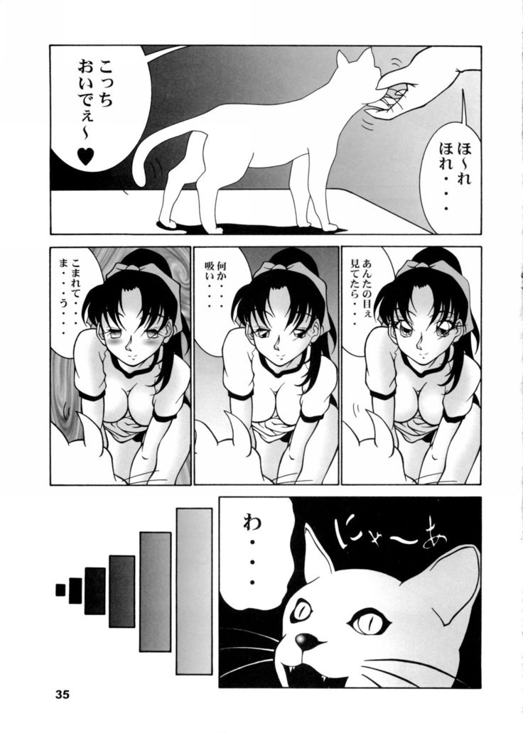 Potemayo vol. 5