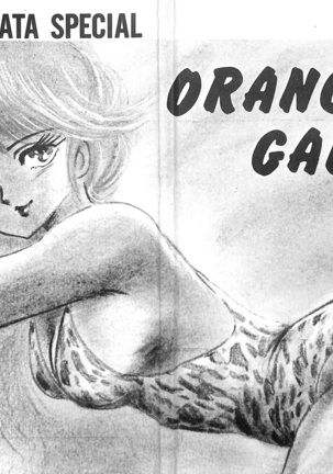 ORANGE GALLERY SAKATA SPECIALl Page #2