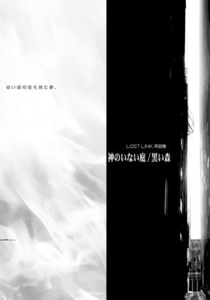 Image 3639309