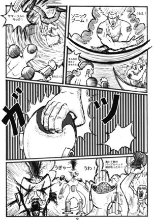 SSR２ Page #21