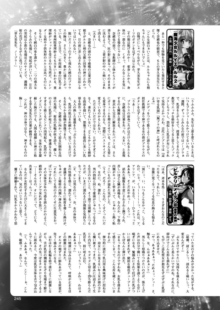 2D Dream Magazine 2010-12 Vol. 55