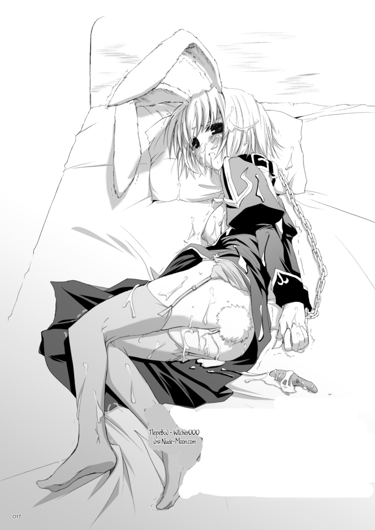 DL-RO Perfect Collection No.02