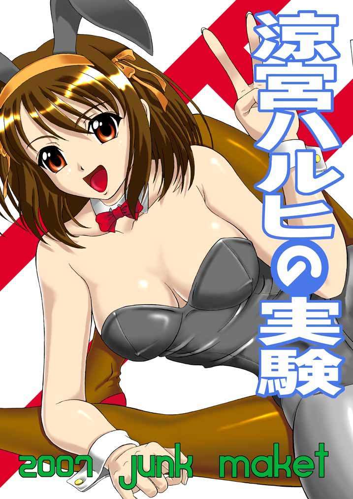 Suzumiya Haruhi no Jikken