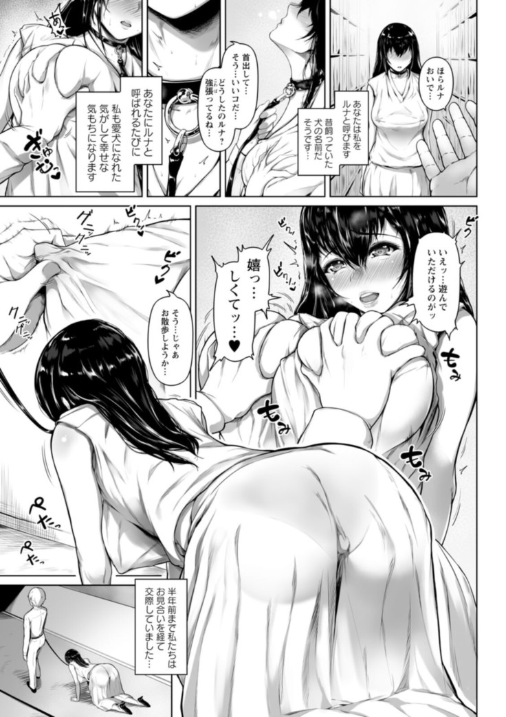 Pet no Hinkaku