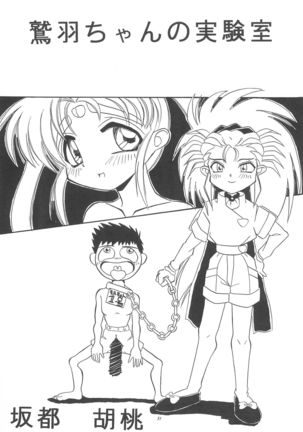 Okayama Meibutsu Tenchi Muyo - Page 33