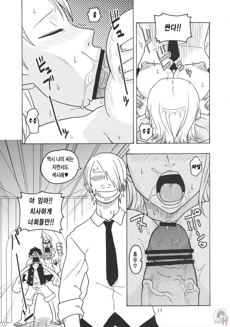 Nami no Koukai Nisshi EX NamiRobi