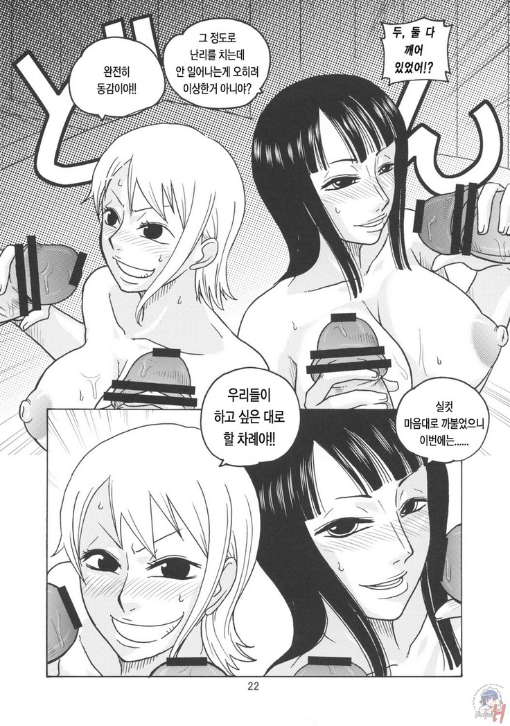 Nami no Koukai Nisshi EX NamiRobi