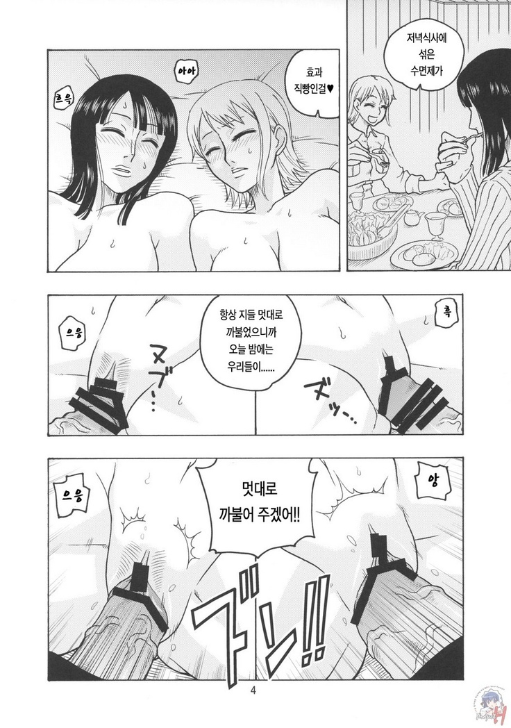 Nami no Koukai Nisshi EX NamiRobi