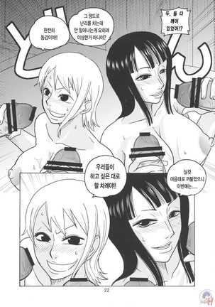 Nami no Koukai Nisshi EX NamiRobi Page #23