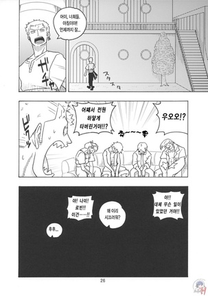 Nami no Koukai Nisshi EX NamiRobi Page #27