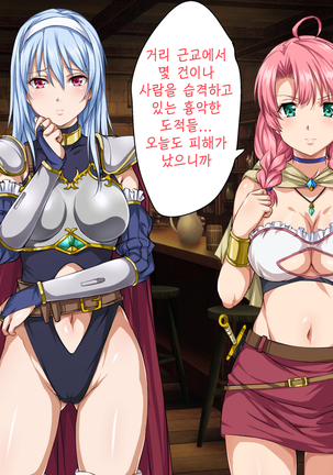 Isekai YariCir 2 -Oyako no Chin Ochi Hen- | 이세계따먹기서클2 -백합과 유부녀의 자지 타락편- - Page 25