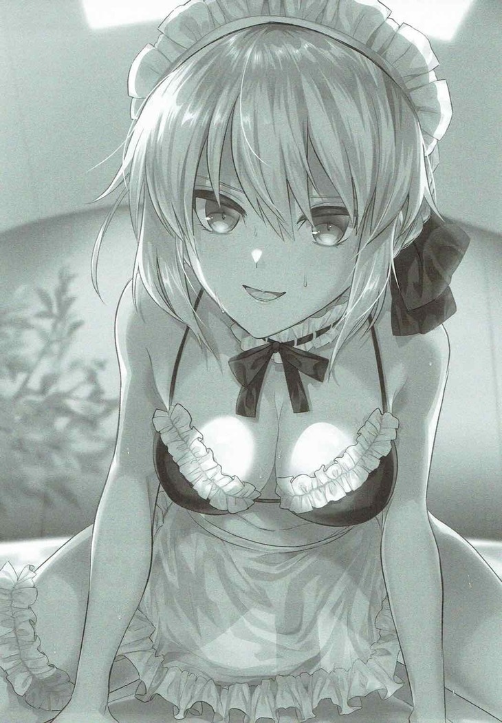 Maid Alter ni Yoru no Osewa o Tetteiteki ni Sareru Hon