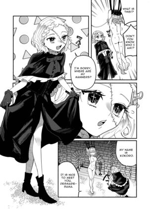 Image 13744453