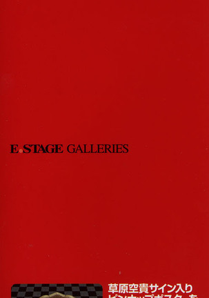 E.STAGE GALLERIES