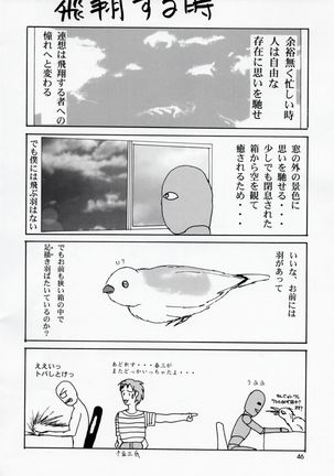 Utawaretamono Joukan ~Hidamari no Naka de~ Page #45