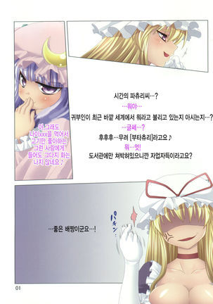 ButaChouli Janee! Buta x Patchouli da! - Page 3