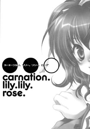 Carnation, Lily, Lily, Rose