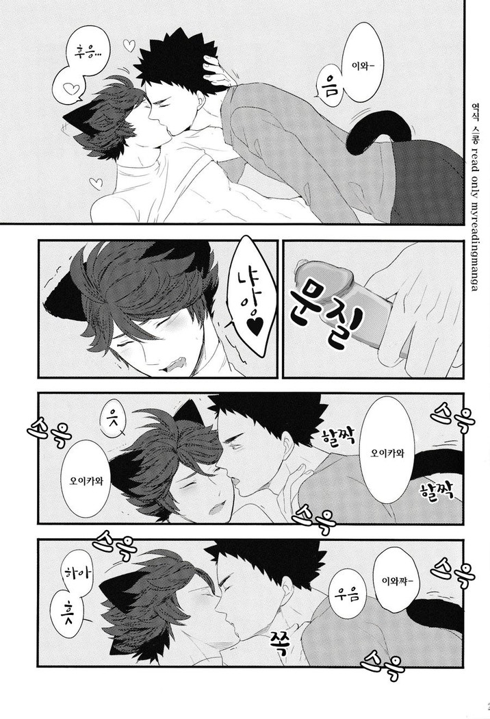 Iwa-chan no Neko ni Naritai | I want to become Iwa-chan's Cat! 1