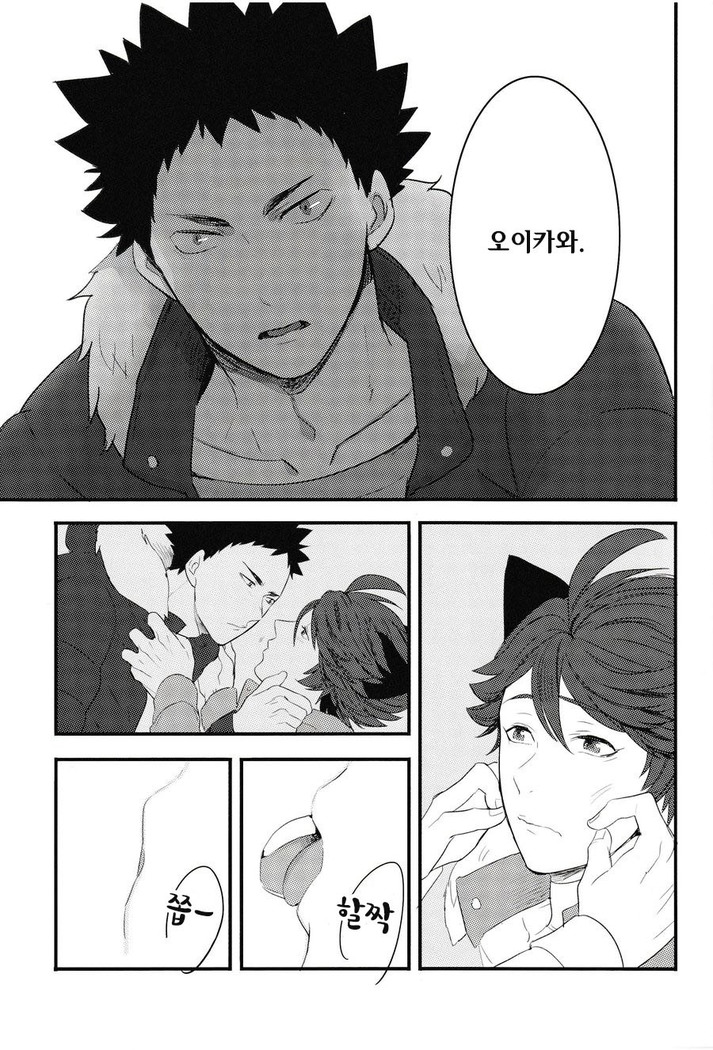 Iwa-chan no Neko ni Naritai | I want to become Iwa-chan's Cat! 1