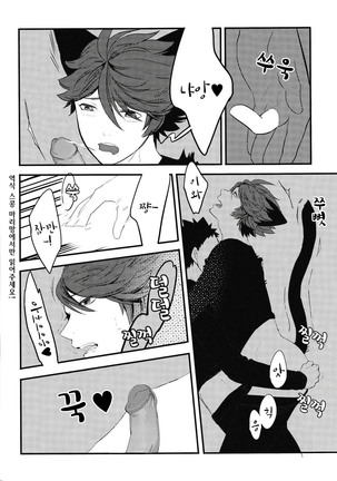 Iwa-chan no Neko ni Naritai | I want to become Iwa-chan's Cat! 1 Page #11