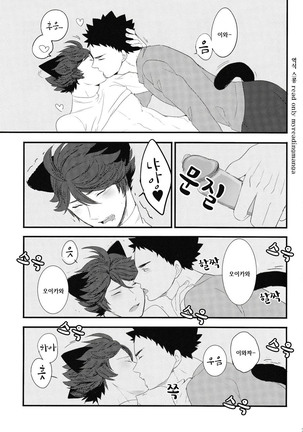 Iwa-chan no Neko ni Naritai | I want to become Iwa-chan's Cat! 1 Page #26