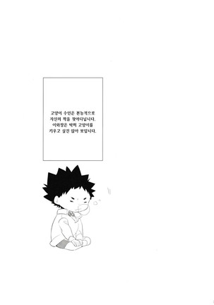 Iwa-chan no Neko ni Naritai | I want to become Iwa-chan's Cat! 1 Page #14