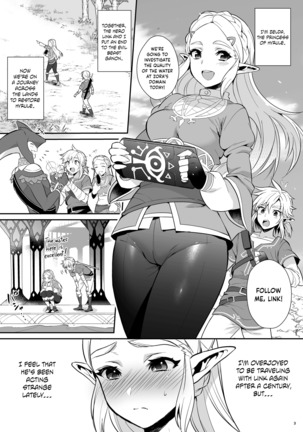 Hyrule Hanei no Tame no Katsudou! | Taking Steps to Ensure Hyrule's Prosperity! - Page 4