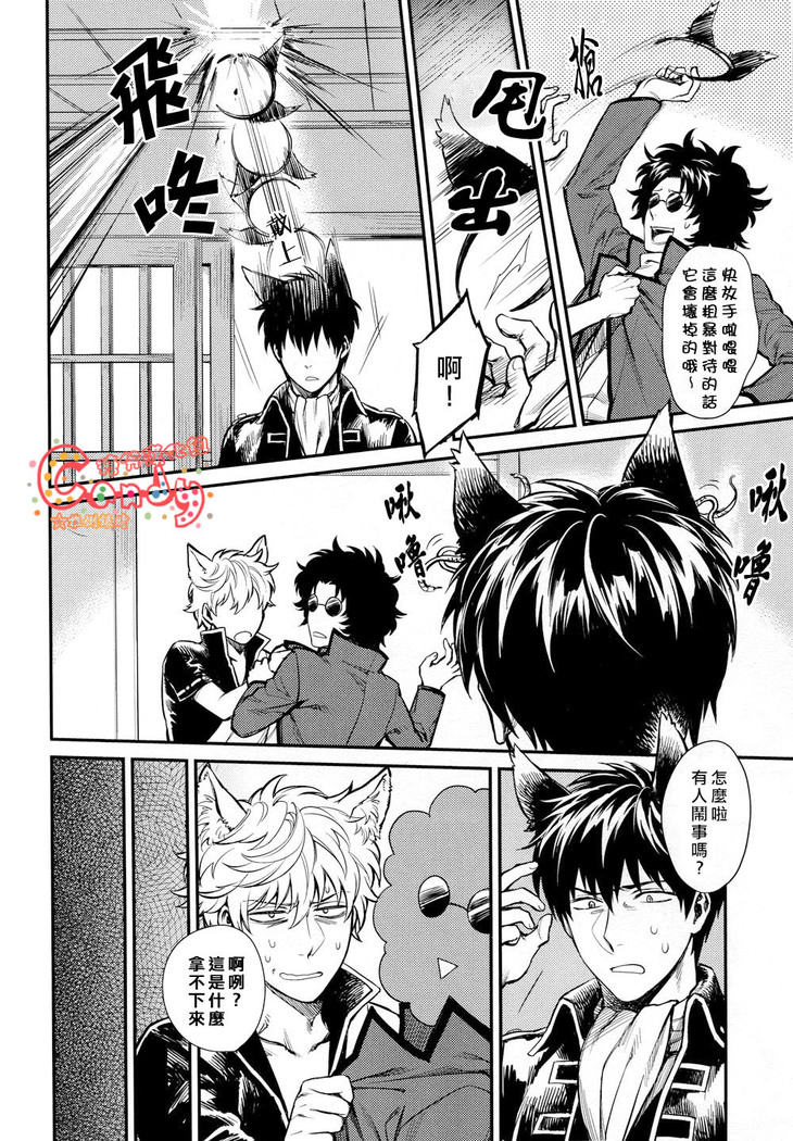 Like Cat and Dog