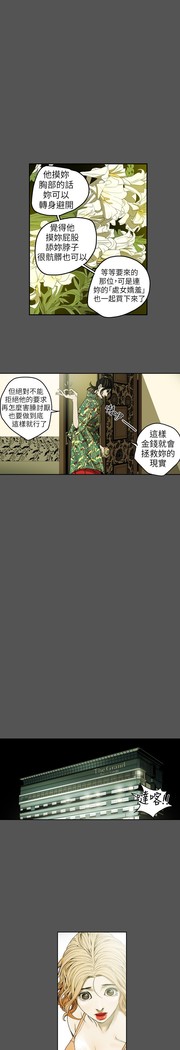 Honey trap 甜蜜陷阱 ch.8-11