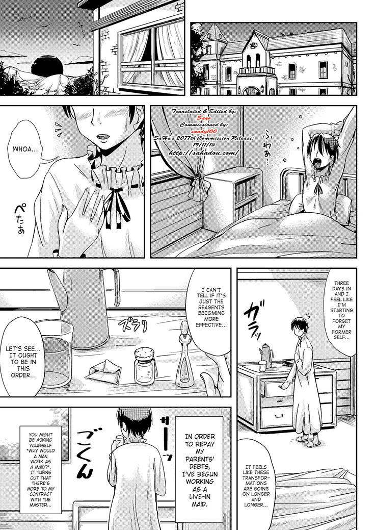 Trans B Maid S