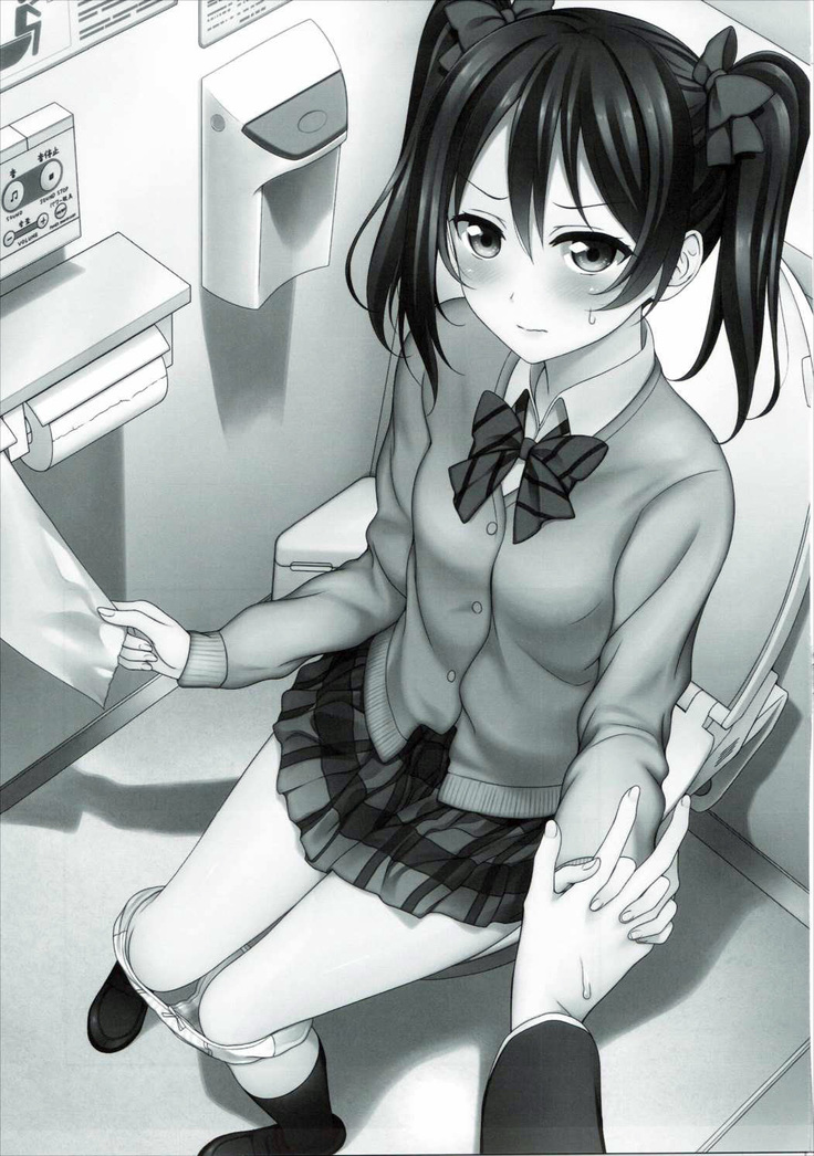 Nurui yo Magnetic toilet