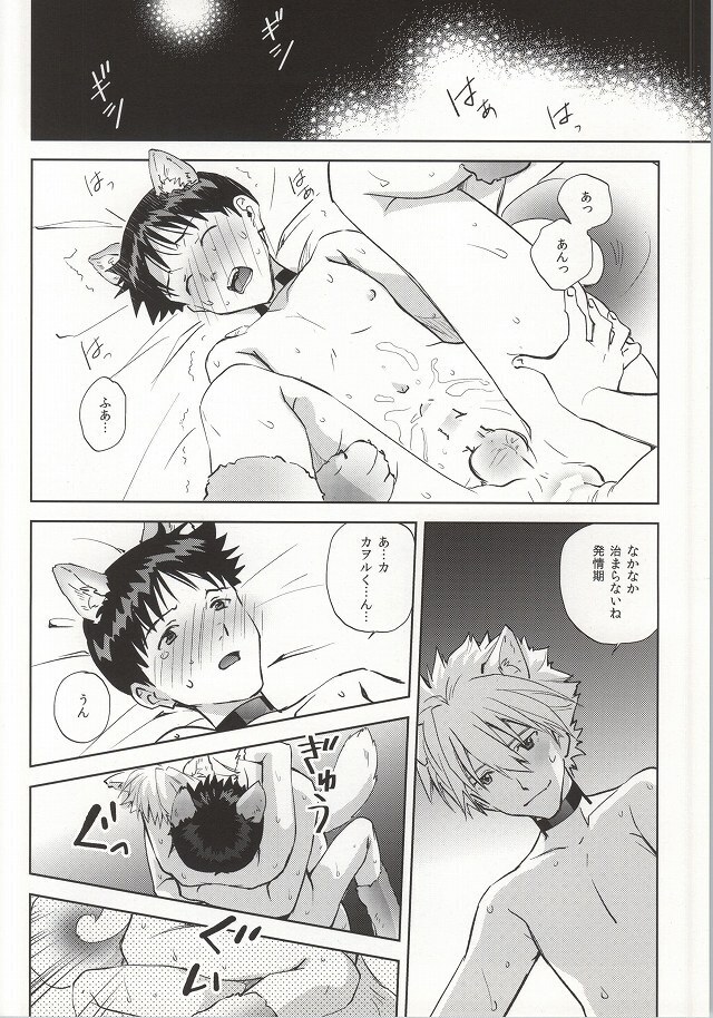 Wanko na Kareshi Otonamuke