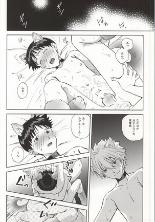 Wanko na Kareshi Otonamuke Page #35