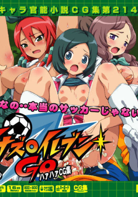 Yuumei Chara Kannou Shousetsu CG Shuu No. 214!! Inazuma Eleven GO HaaHaa CG Shuu