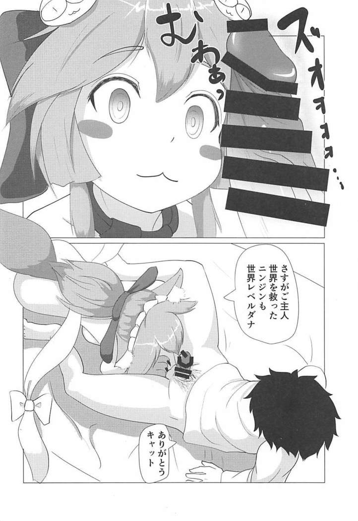 タマモキャットの猫まんま