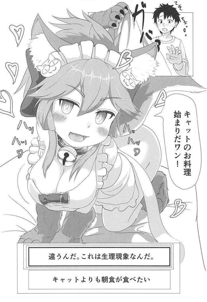 タマモキャットの猫まんま