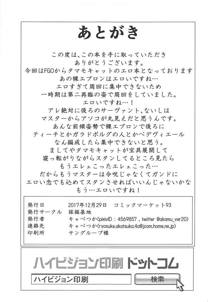 タマモキャットの猫まんま